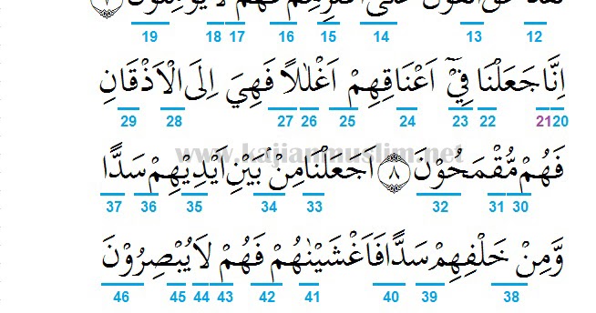 Detail Surat Yasin Ayat 12 Nomer 44