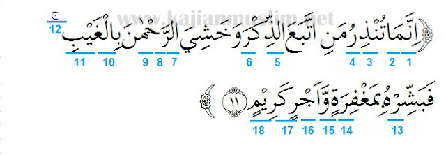 Detail Surat Yasin Ayat 15 Nomer 5