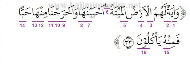 Detail Surat Yasin Ayat 33 Nomer 12