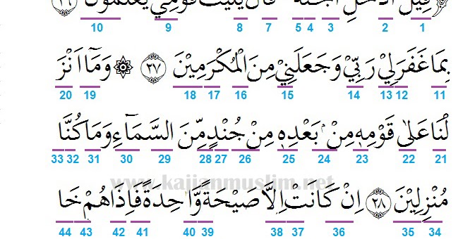 Detail Surat Yasin Ayat 33 Nomer 52