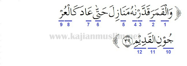 Detail Surat Yasin Ayat 39 Nomer 13