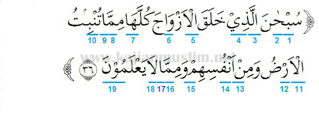 Detail Surat Yasin Ayat Nomer 36