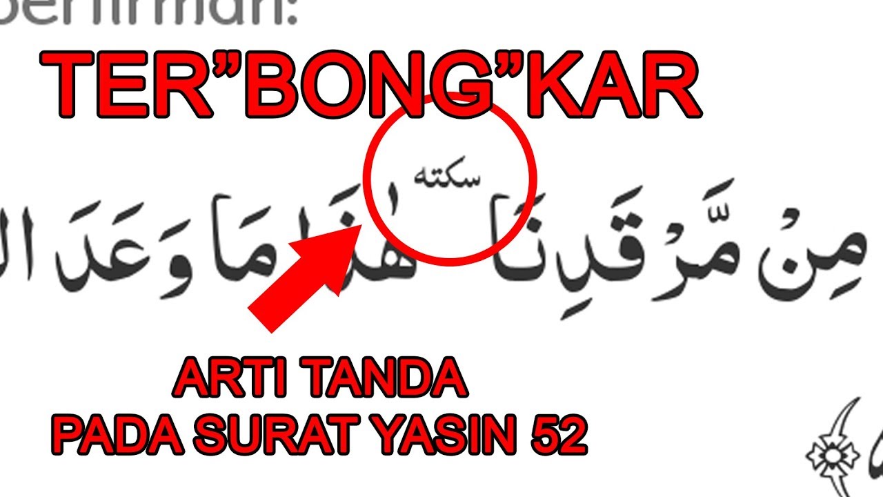 Detail Surat Yasin Ayat 52 Nomer 4