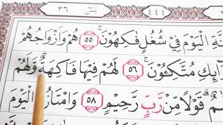 Detail Surat Yasin Ayat 53 Nomer 55