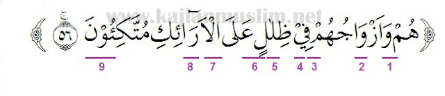 Detail Surat Yasin Ayat 56 Nomer 3