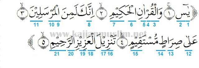 Detail Surat Yasin Ayat Nomer 51