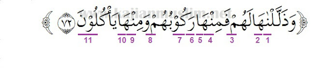 Detail Surat Yasin Ayat 72 Nomer 5