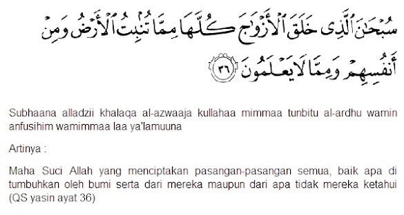 Detail Surat Yasin Ayat 72 Nomer 7