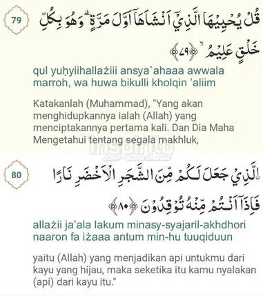 Detail Surat Yasin Ayat 80 Nomer 42