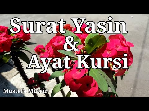 Detail Surat Yasin Dan Ayat Kursi Nomer 40