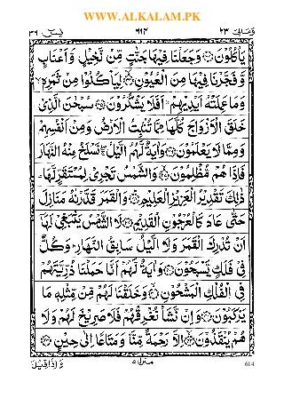 Detail Surat Yasin Full Arab Nomer 37