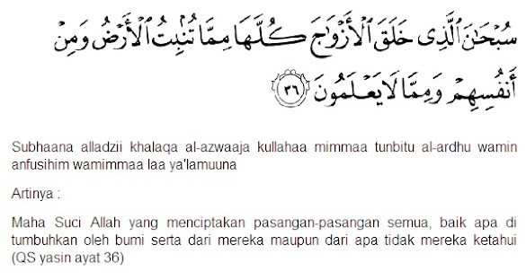 Detail Surat Yasin Litequran Nomer 38