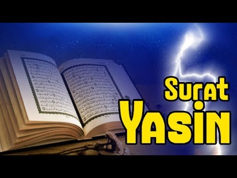 Detail Surat Yasin Tulisan Latin Nomer 53