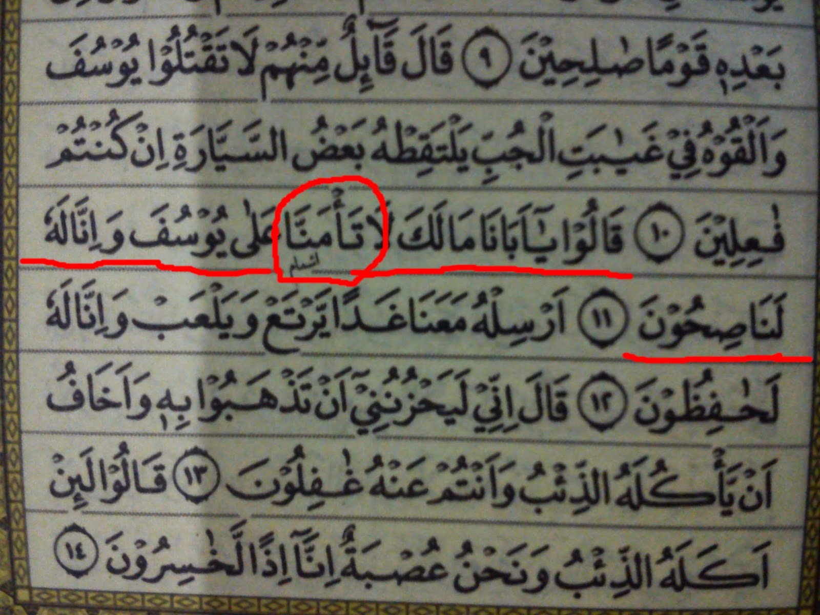 Detail Surat Yusuf Ayat 11 13 Nomer 9