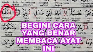 Detail Surat Yusuf Ayat 7 Nomer 12