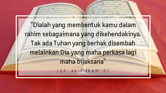 Detail Surat Yusuf Dan Surat Maryam Nomer 33