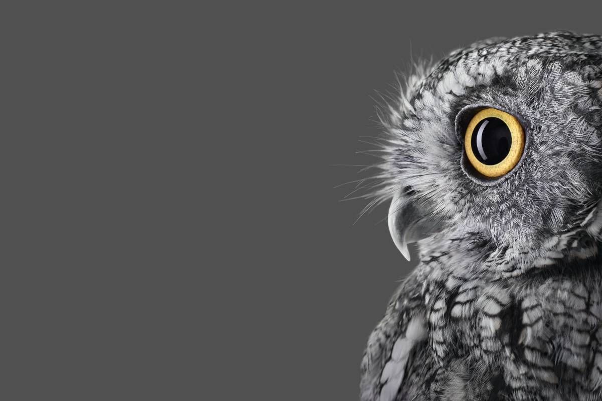 Detail Surface Studio Wallpaper Nomer 3