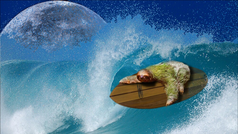 Detail Surfing Sloth Nomer 7