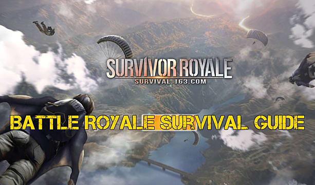 Detail Survivor Royale Pc Nomer 22