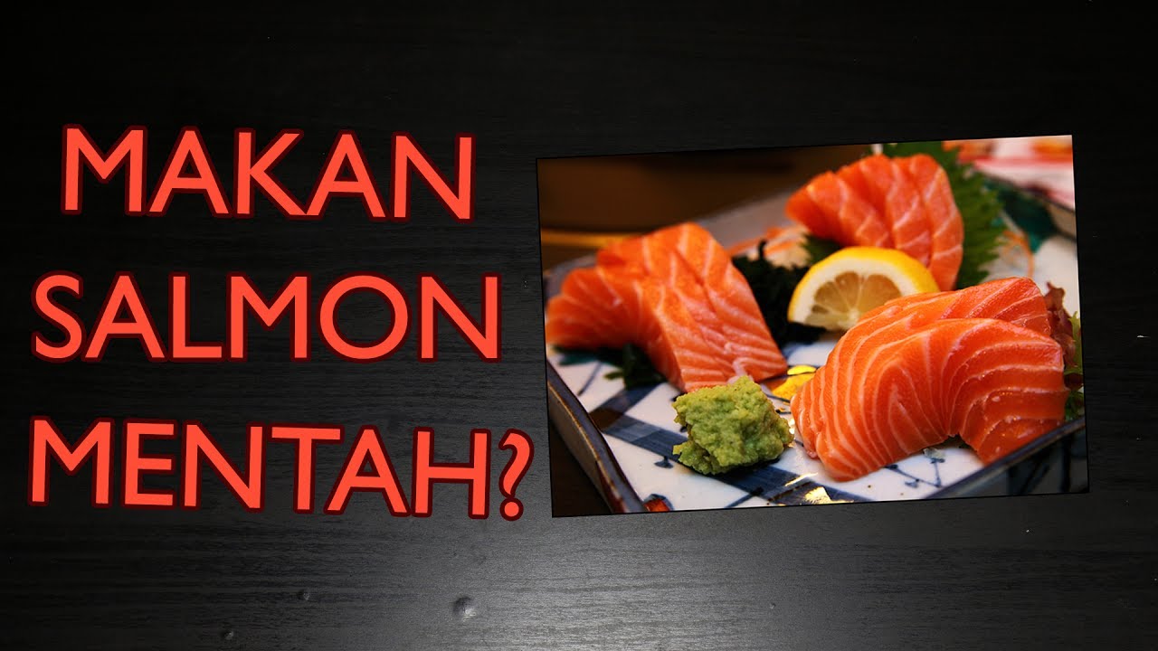 Detail Sushi Salmon Mentah Nomer 44