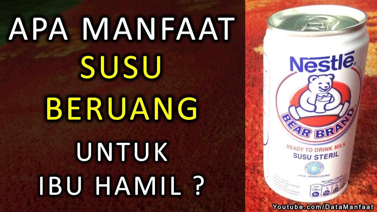 Detail Susu Beruang Untuk Ibu Hamil 7 Bulan Nomer 13
