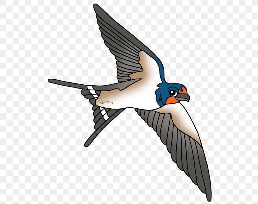 Detail Swallow Clipart Nomer 11