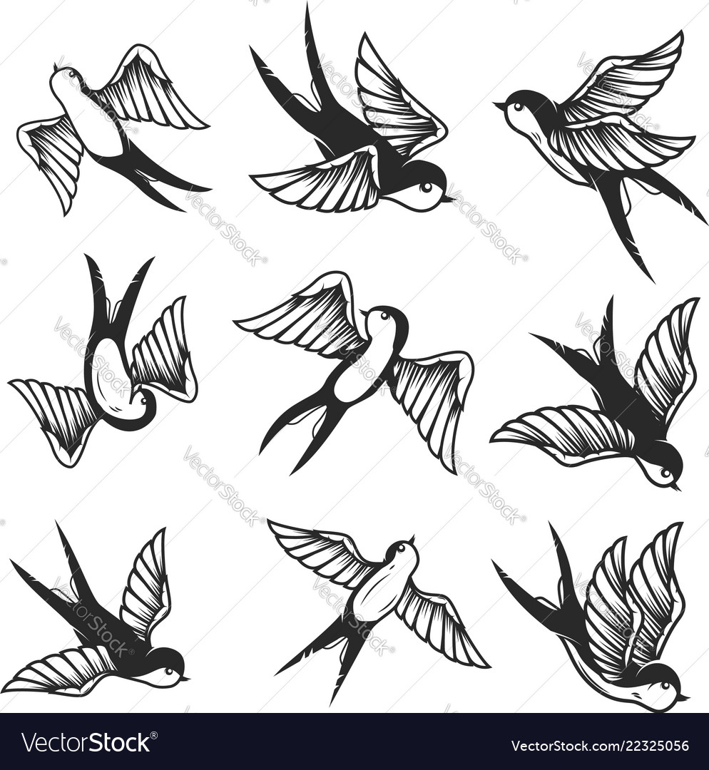 Swallow Design - KibrisPDR