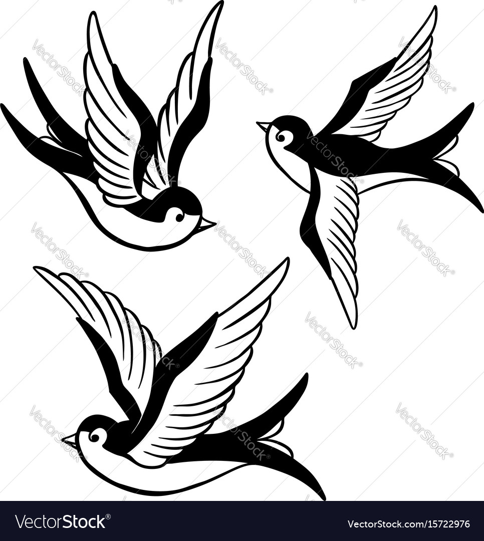 Detail Swallow Design Nomer 2