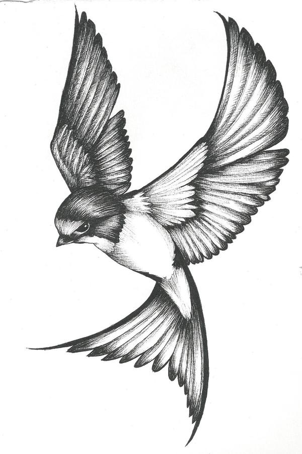 Detail Swallow Design Nomer 19