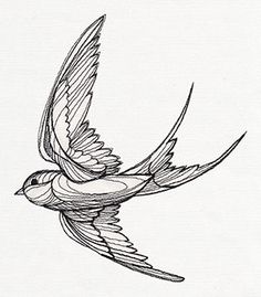 Detail Swallow Design Nomer 23