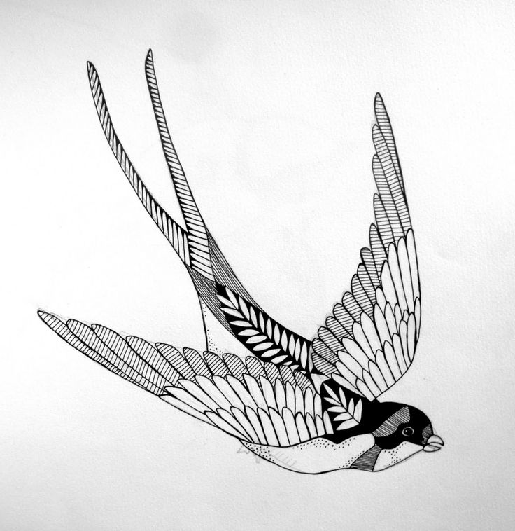 Detail Swallow Design Nomer 28