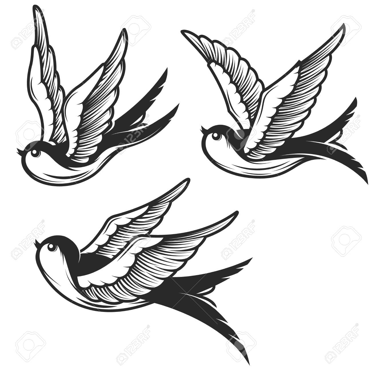 Detail Swallow Design Nomer 5
