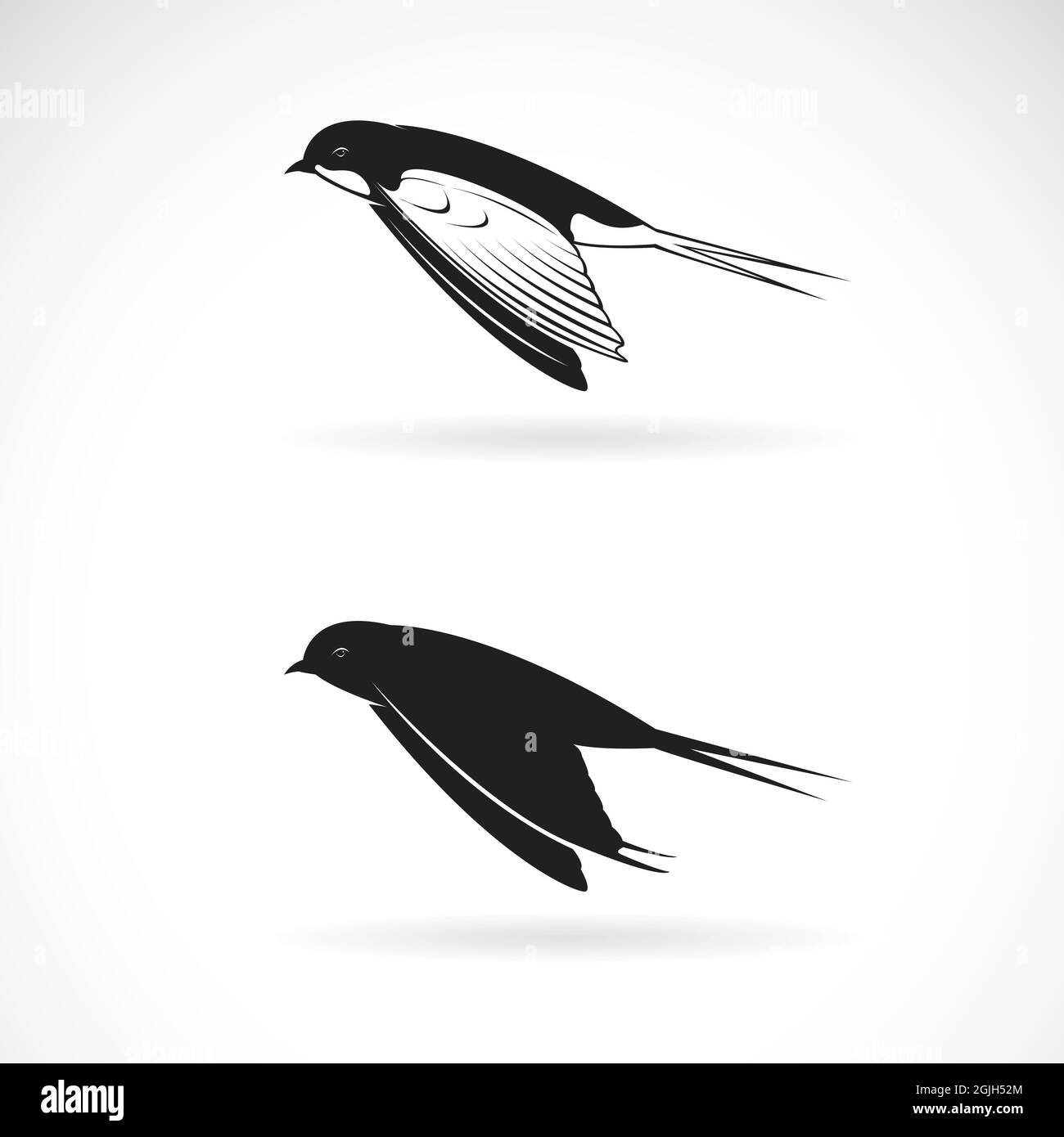 Detail Swallow Design Nomer 38