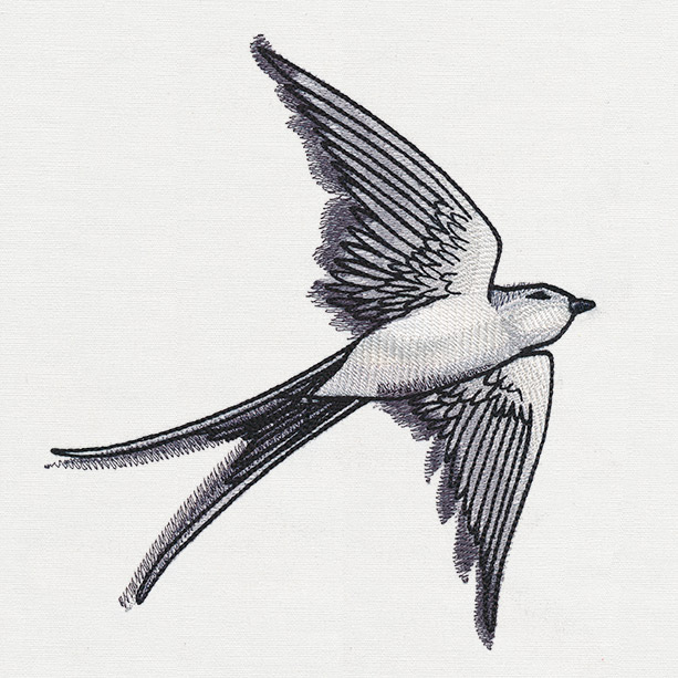Detail Swallow Design Nomer 42