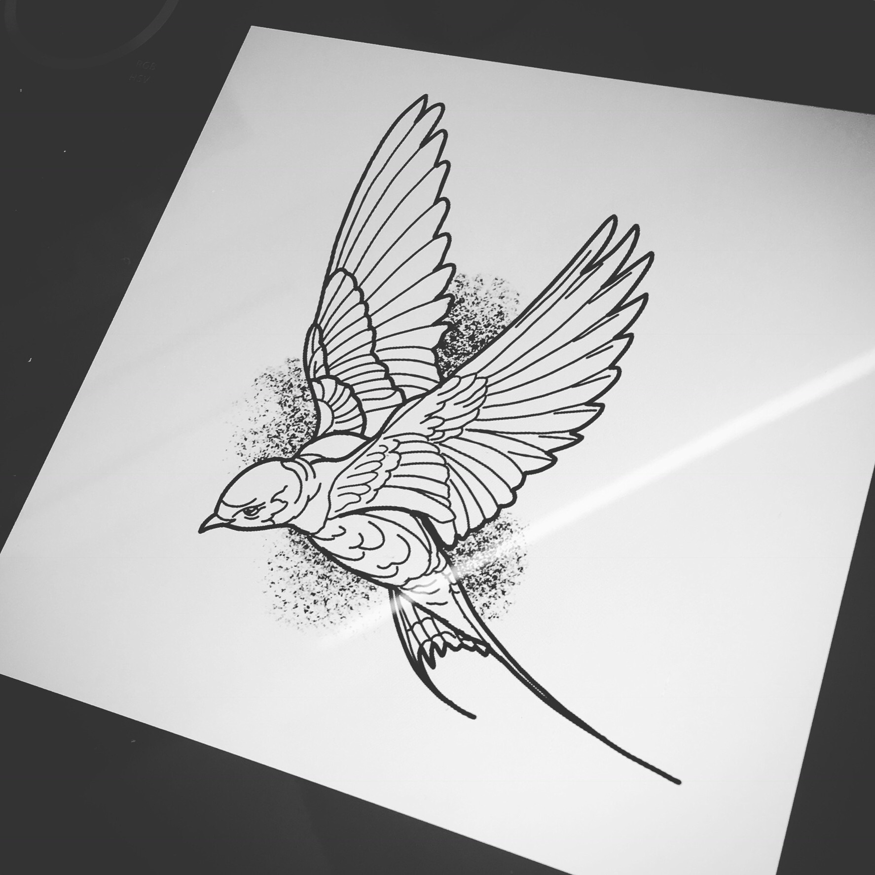 Detail Swallow Design Nomer 6