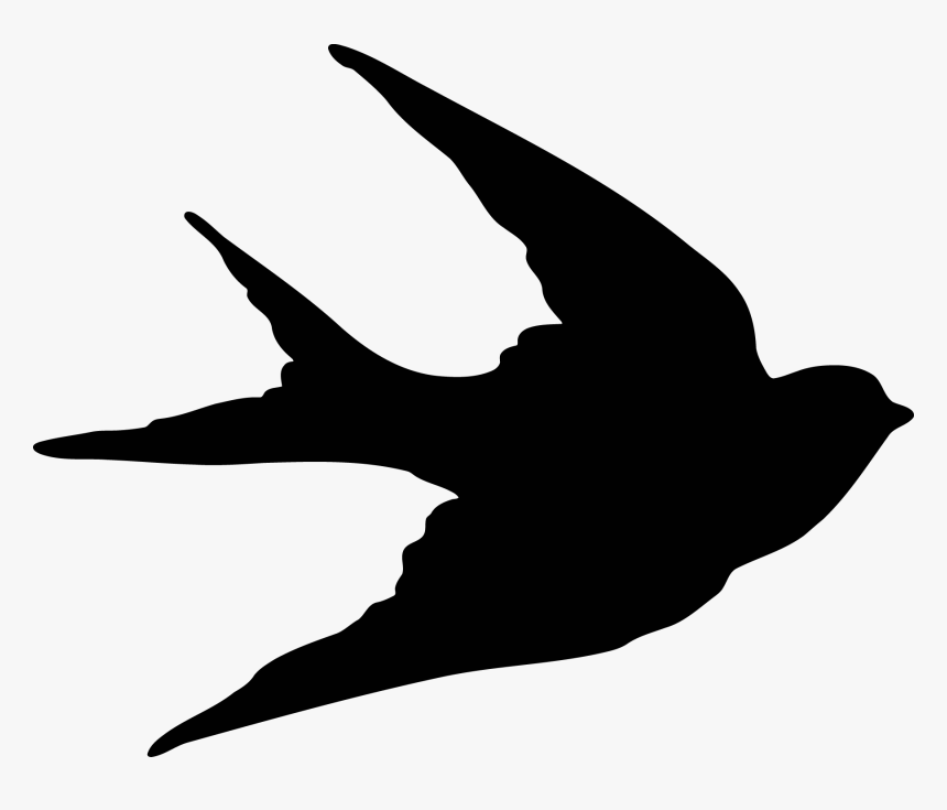 Detail Swallows Clipart Nomer 12