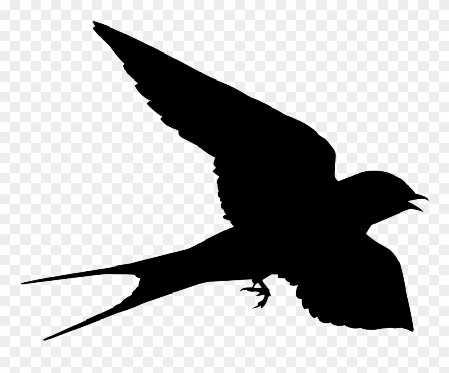 Detail Swallows Clipart Nomer 15