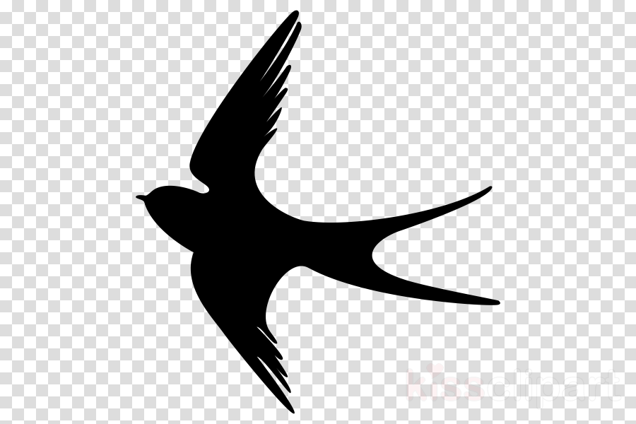 Detail Swallows Clipart Nomer 30