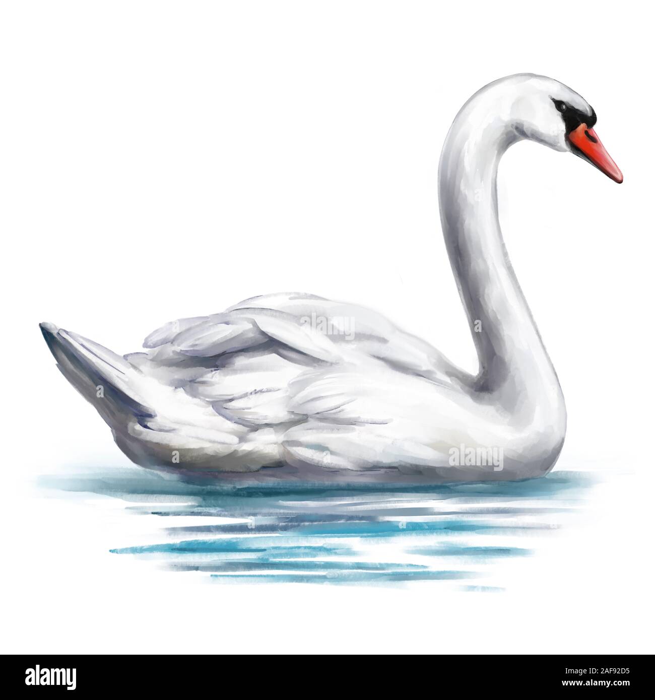 Detail Swan Bird Images Nomer 38