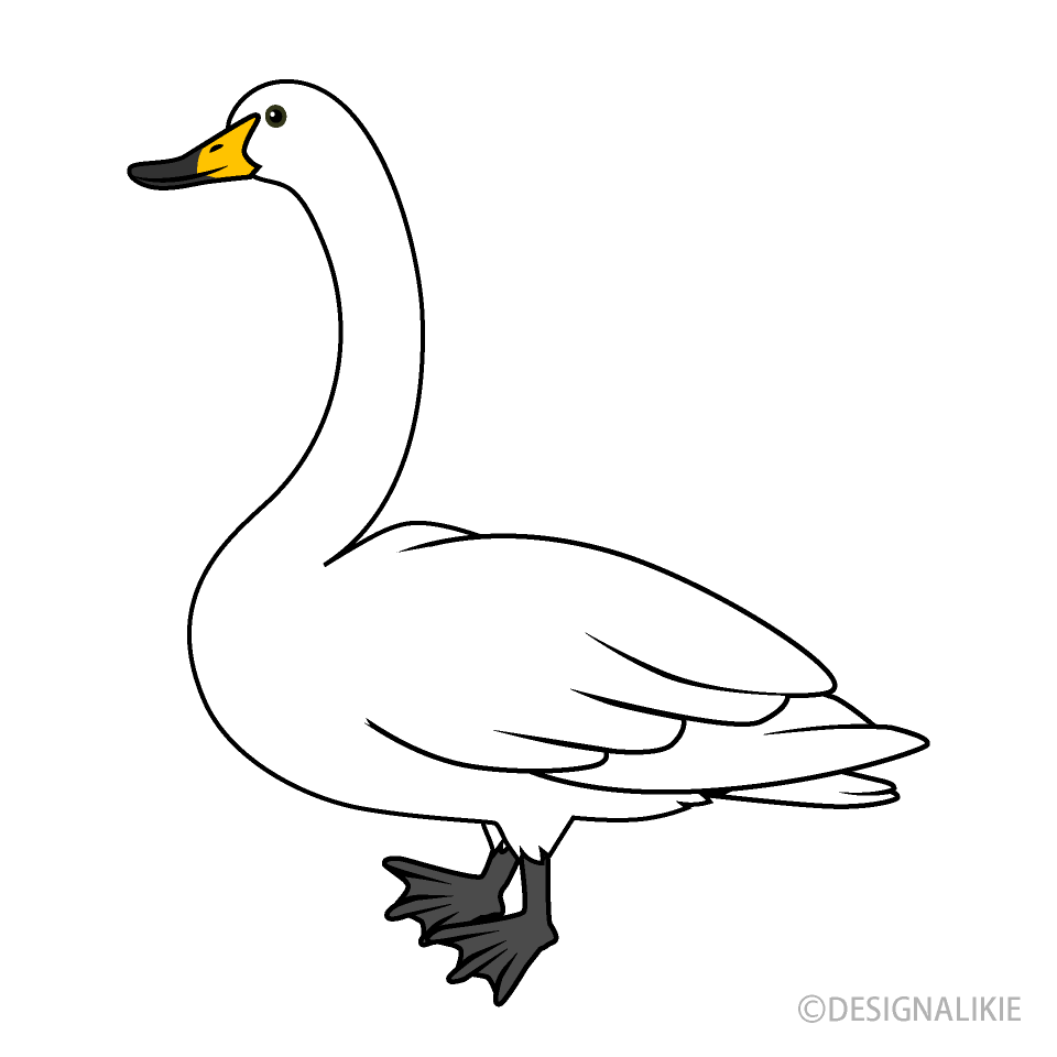 Detail Swan Clipart Free Nomer 20