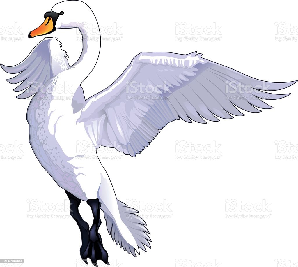 Detail Swan Flying Images Nomer 38