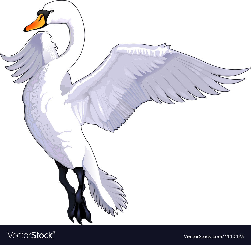 Detail Swan Flying Images Nomer 5