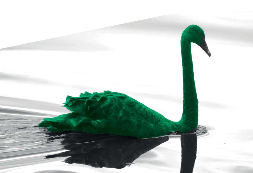 Detail Swan Image Nomer 39