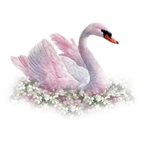 Detail Swan Png Nomer 35