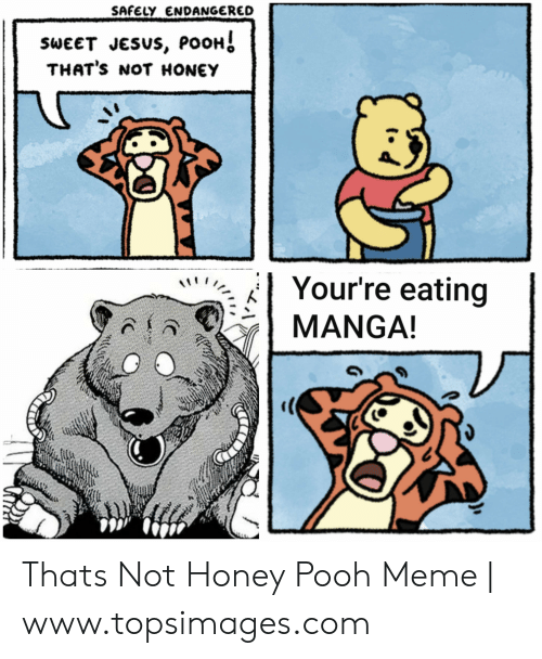 Detail Sweet Jesus Pooh Memes Nomer 33