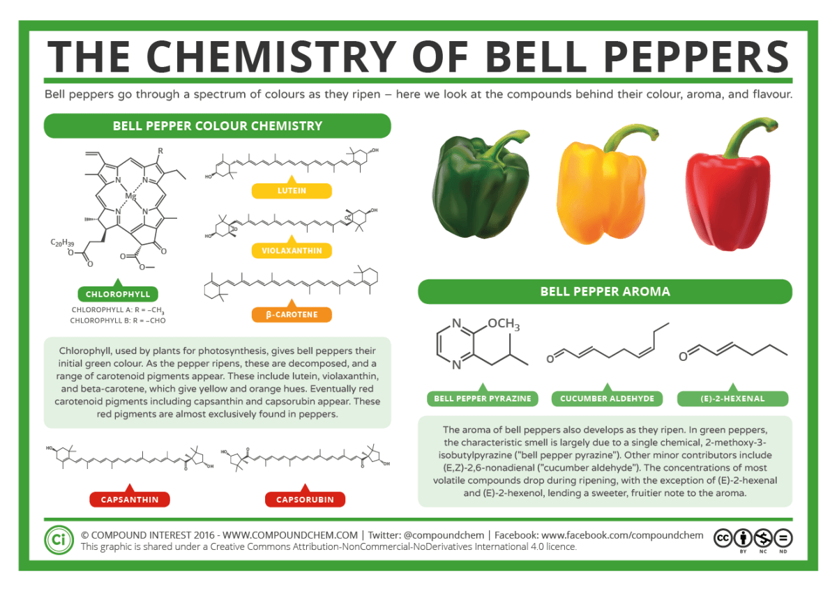 Detail Sweet Pepper Image Nomer 30