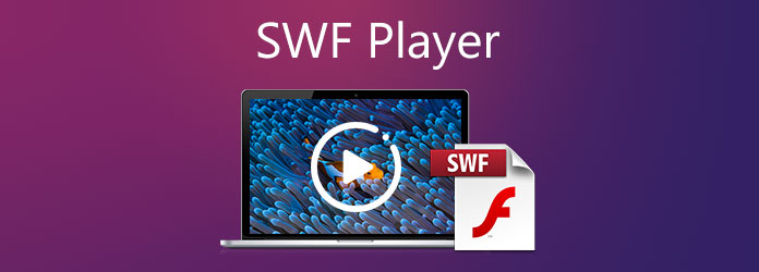 Detail Swf Media Player Nomer 17