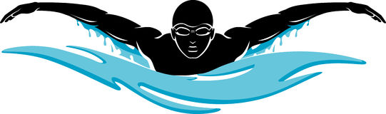 Detail Swimming Clipart Pictures Nomer 30