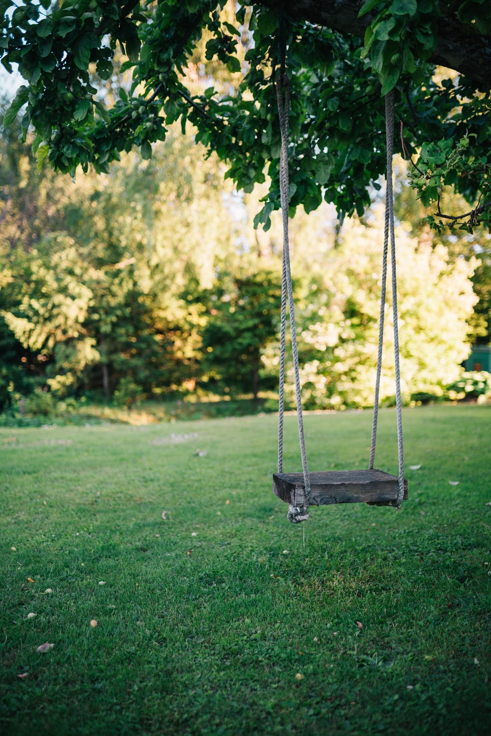 Detail Swing Images Nomer 4