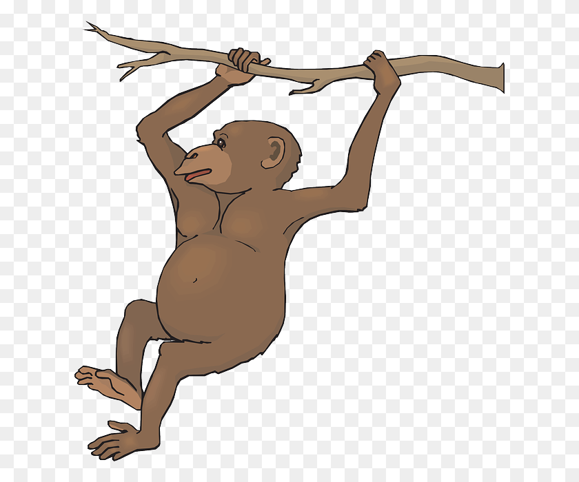 Detail Swinging Monkeys Clipart Nomer 35